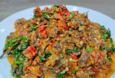 Kerang Dara Sambal Kemangi, Sensasi Pedas Gurih Kuliner Laut Favorit Indonesia