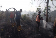 Empat Lokasi Karhutla di OKU, Tiga Titik Berhasil Dipadamkan