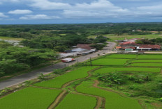 Ingin Liburan Nataru Hemat? Ini Cara Dapat Tiket Pesawat, Kereta, dan Hotel Termurah 2025–2026