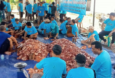 Masjid Syarif Hidayat Sembelih 10 Sapi dan 1 Kambing Kurban, Jemaah Antusias Gotong Royong