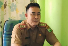 Dinkes OKU Sediakan Bubuk Abate Cegah Penyebaran DBD