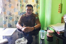 Dinas Kesehatan OKU Tangani 15 Kasus DBD