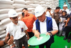 Herman Deru: Stok Beras Sumsel Cukup Hingga 10 Bulan ke Depan.