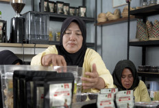 Kopi Tebat Benawan Pusri, Tumbuhkan Harapan Petani di Gunung Dempo 