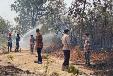 Karhutla 5 Hektare Dekati Permukiman Petugas Berjibaku 9 Jam Melakukan Pemadaman