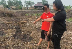 Bakar Lahan Lima Meter Persegi, Pria di Pemulutan Ini Terancam Hukuman 10 Tahun Penjara