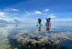 Pemekaran Wilayah Bengkulu: Wacana Pembentukan Dua Provinsi Baru Dengan Empat Kabupaten Usul Bergabung