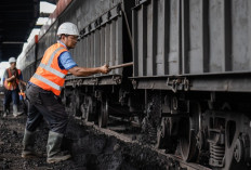 PTBA Cetak Pertumbuhan Operasional, Produksi dan Penjualan Meningkat di Tengah Dinamika Harga Global 2025