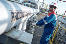 Produksi Minyak PEP Limau Field Meningkat Signifikan, Tembus 5.102 Barel per Hari Dukung Ketahanan Energi 