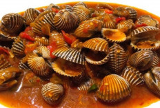 Kerang Dara Saus Padang: Sensasi Pedas dan Gurih yang Menggugah Selera
