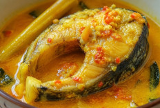 Ikan Patin Gulai Tempoyak, Cita Rasa Khas Sumatera Selatan yang Selalu Dirindukan