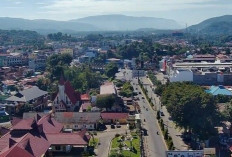 Pemekaran Wilayah Sumatera Utara: Wacana Pembentukan Provinsi Sumatera Tenggara Penghasil Minyak Sawit Mentah