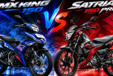 Ayam Jago vs Bebek Sport, Mana yang Lebih Worth It Dibeli Tahun Ini?