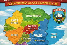 Pemekaran Wilayah Sulawesi Selatan: Wacana Provinsi Bugis Timur Dinilai Strategis, Kaya Potensi dan Budaya
