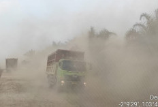 Pemekaran Wilayah Sumatera Selatan: Wacana Pembentukan 3 Kabupaten Baru di Musi Banyuasin Semakin Menguat
