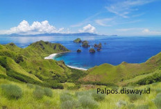 Pemekaran Wilayah Nusa Tenggara Barat: Wacana Pembentukan Kabupaten Bima Timur Tawarkan Lanskap Geografis