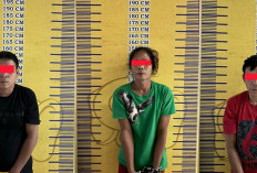 3 Anggota Jaringan Narkotika di Muba Akhirnya Tertangkap, Salah Satunya Emak-emak 