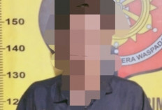 Dua Bulan Buron, Pelaku  Pencurian TBS Dibekuk