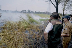297 Titik Karhutla di Palembang, 235 Hektare Lahan Terbakar    