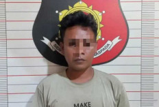 Setelah Empat Bulan Buron, Pelaku Pencurian Sawit Menyerahkan Diri