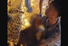 Terkena Tembakan Usai Ribut di Panggung Orgen Tunggal, Warga OKI Meninggal Dunia