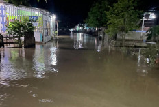 BPBD Data 1.277 Rumah Warga OKU Terdampak Banjir