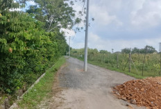 Terjadi di Ogan Ilir, Tiang Listrik Ditanam Tepat di Tengah Jalan, Begini Kata Pihak PLN