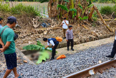 Tragis! IRT di Desa Pangkul Prabumulih Ditemukan Tewas di Pinggir Rel Kereta Api, Diduga Tertabrak Babaranjang