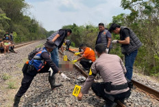 Kronologi Petani 61 Tahun Tertemper KA Babaranjang di Prabumulih, Berjalan Membelakangi Kereta
