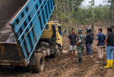 Langkah Tegas PTBA Berantas Penambang PETI