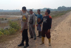 itik Hotspot Terpantau BRIN di Area Cetak Sawah Desa Petanang
