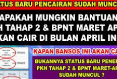 Anda Mau Dapat Bantuan Rp600 Ribu Hanya Lewat HP? Ini Cara Daftar Bansos BLT UMKM 2026