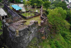 Pemekaran Wilayah Sulawesi Tenggara: Wacana 2 Provinsi Baru Tersendat Moratorium DOB dan Perkembangannya