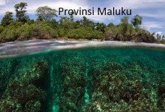 Pemekaran Wilayah Maluku: Wacana Pembentukan Kabupaten Tanimbar Utara Perpendek Rentang Kendali Pemerintahan