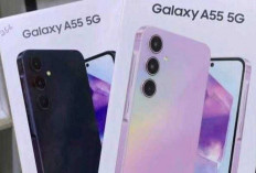 Samsung Galaxy C55 5G Meluncur, Usung Kamera 50 MP dan Fast Charging 45 Watt di Kelas Menengah