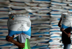 Pupuk Indonesia Edukasi Pemupukan Berimbang Kepada Petani Wanita dan Petani Cilik di Muara Enim