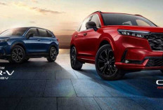 Harga Naik Tapi Fitur Makin Gila! Ini Detail CR-V e:HEV 2026