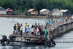 Pemekaran Wilayah Sulawesi Tenggara: Calon Kabupaten Pakue Berpotensi Jadi DOB Mandiri dan Berdaya Saing