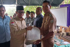 Bupati Restocking 70 ribu Bibit Ikan di 6 Kecamatan 