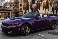 Bukan Sekadar Mustang Biasa, Versi Convertible Ini Bawa Mesin V8 Supercharged Paling Brutal! 