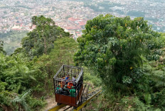 Pemekaran Wilayah Sumatera Selatan: Wacana Pembentukan Provinsi Sumselbar Didukung Dua Kabupaten Tetangga