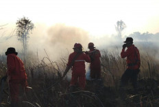 Karhutla Seluas 5 Hektare di Ogan Ilir Berhasil Dikendalikan, Manggala Agni Kerahkan Helikopter Water Bombing