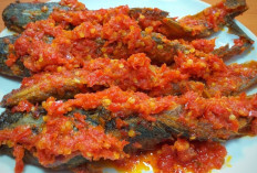 Lele Sambal, Hidangan Sederhana yang Menggugah Selera