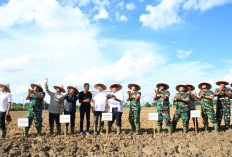 Pemprov–TNI Perkuat Sinergi Cetak Sawah, Food Estate Sumsel Dipacu Masuk Level Nasional