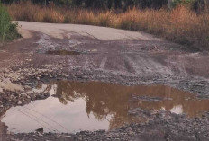 Perbaikan Jalan Cor Beton Batukuning - Kurup Jadi Skala Prioritas