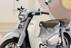 Tak Lekang Zaman! Honda Super Cub C125 2026 Dapat Warna Baru dan Fitur ABS