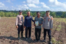 Dukung Swasembada Pangan Nasional, Tanam Jagung Seluas 1 Hektar