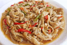 Tumis Jamur Tiram, Hidangan Sederhana yang Kaya Rasa dan Gizi