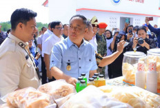 Wagub Sumsel Cik Ujang Dampingi Menko Polkam Tinjau Kampung Nelayan Merah Putih Sungsang,
