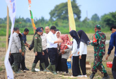 Perkuat Ketahanan Pangan, Gubernur Sumsel Serahkan Alsintan dan Tanam Padi di OKU Timur